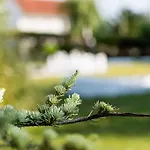 Casa Da Padeira - Turismo Rural Farm stay *