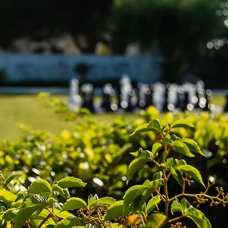 Alojamento de Turismo Rural Casa Da Padeira -