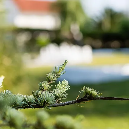 Casa Da Padeira - Çiftlik konaklama *